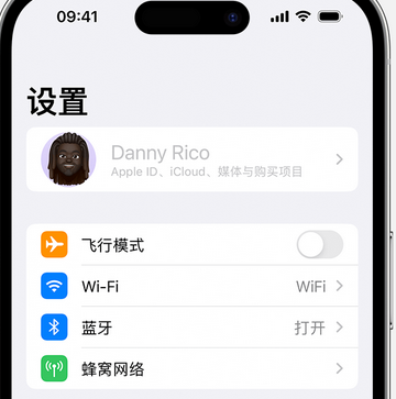 龙湾镇appleID维修服务iPhone设置中Apple ID显示为灰色无法使用 