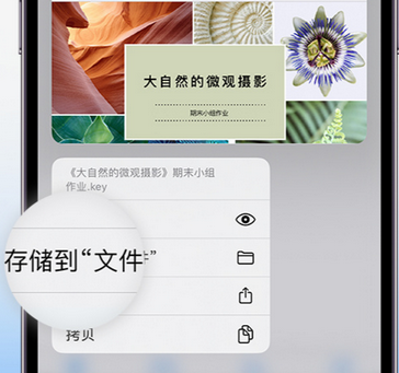 龙湾镇apple维修中心分享iPhone文件应用中存储和找到下载文件