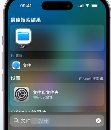 龙湾镇apple维修中心分享iPhone文件应用中存储和找到下载文件 