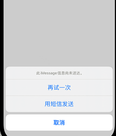 龙湾镇apple维修iPhone上无法正常发送iMessage信息