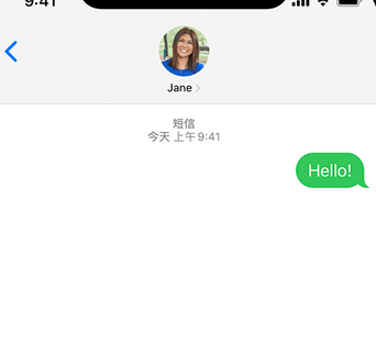 龙湾镇apple维修iPhone上无法正常发送iMessage信息