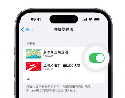 龙湾镇apple维修点分享iPhone上更换Apple Pay快捷交通卡手绘卡面 