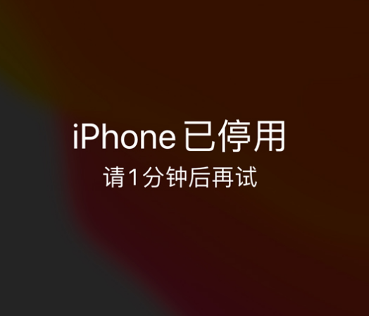 龙湾镇苹果手机维修分享:iPhone 显示“不可用”或“已停用”怎么办？还能保留数据吗？ 