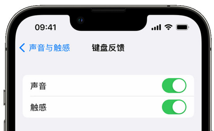 龙湾镇苹果手机维修分享iPhone 14触感键盘使用方法 