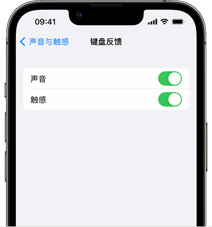 龙湾镇苹果14维修店分享如何在 iPhone 14 机型中使用触感键盘 