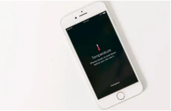 龙湾镇苹果手机维修分享iPhone 手机发热如何快速降温 