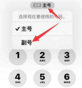 龙湾镇苹果14维修店分享iPhone 14 Pro Max使用副卡打电话的方法 