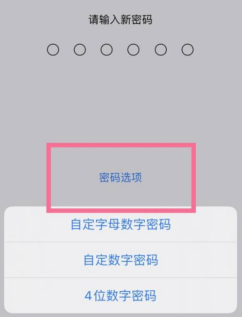 龙湾镇苹果14维修分享iPhone 14plus设置密码的方法 