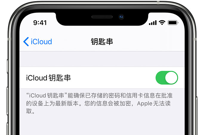 龙湾镇苹果手机维修分享在 iPhone 上开启 iCloud 钥匙串之后会储存哪些信息 