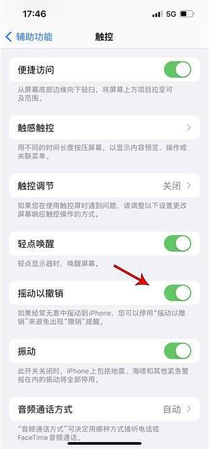 龙湾镇苹果手机维修分享iPhone手机如何设置摇一摇删除文字 