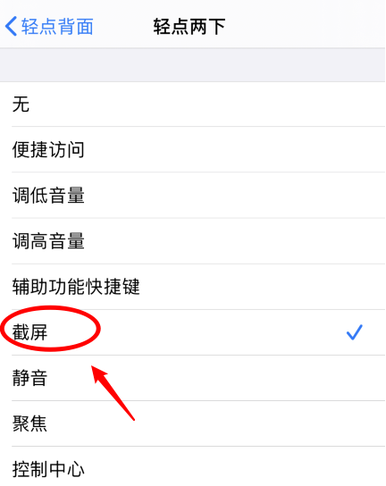 龙湾镇苹果手机维修分享iPhone12如何启用双击截屏 